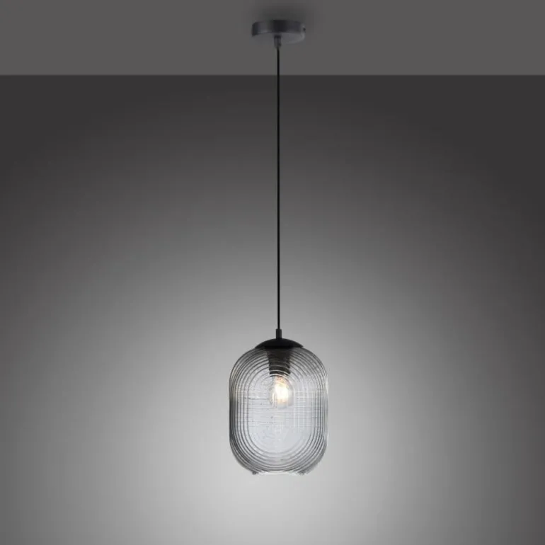 Suspension Paul Neuhaus SHITAKE Noir, 1 lumière