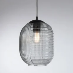 Suspension Paul Neuhaus SHITAKE Noir, 1 lumière