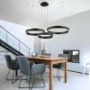 Suspension Paul Neuhaus SCULLI LED Noir, 2 lumières