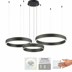 Suspension Paul Neuhaus SCULLI LED Noir, 2 lumières