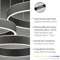 Suspension Paul Neuhaus SCULLI LED Noir, 2 lumières