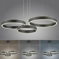 Suspension Paul Neuhaus SCULLI LED Noir, 2 lumières