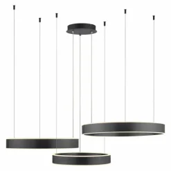 Suspension Paul Neuhaus SCULLI LED Noir, 2 lumières