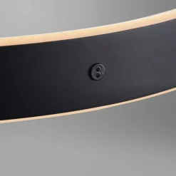 Suspension Paul Neuhaus SCULLI LED Noir, 2 lumières