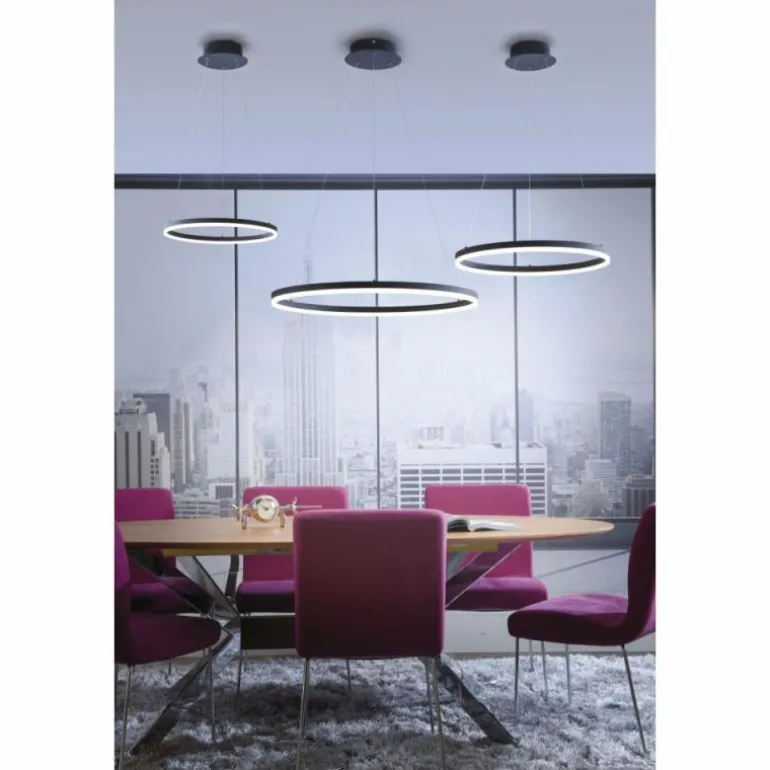 Suspension Paul Neuhaus TITUS LED Anthracite, 1 lumière