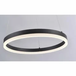 Suspension Paul Neuhaus TITUS LED Anthracite, 1 lumière