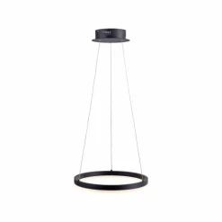 Suspension Paul Neuhaus TITUS LED Anthracite, 1 lumière