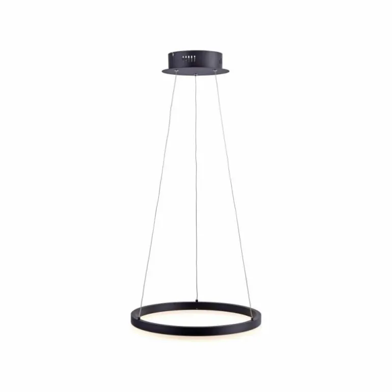 Suspension Paul Neuhaus TITUS LED Anthracite, 1 lumière