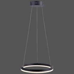 Suspension Paul Neuhaus TITUS LED Anthracite, 1 lumière