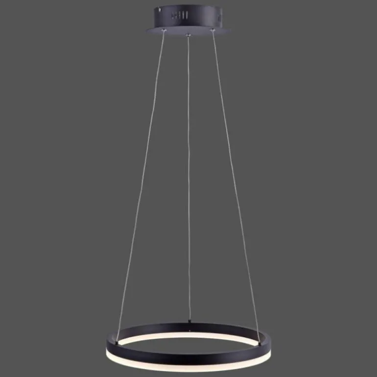 Suspension Paul Neuhaus TITUS LED Anthracite, 1 lumière