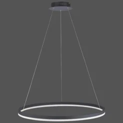 Suspension Paul Neuhaus TITUS LED Anthracite, 1 lumière