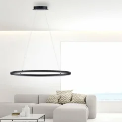 Suspension Paul Neuhaus TITUS LED Anthracite, 1 lumière