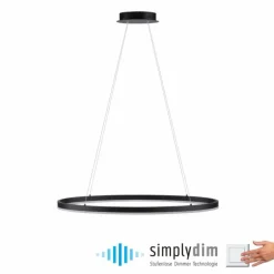Suspension Paul Neuhaus TITUS LED Anthracite, 1 lumière