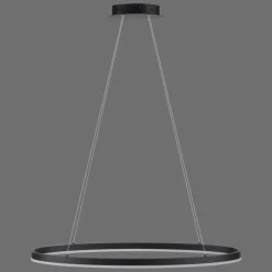 Suspension Paul Neuhaus TITUS LED Anthracite, 1 lumière