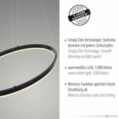 Suspension Paul Neuhaus TITUS LED Anthracite, 1 lumière