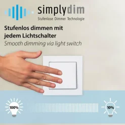 Suspension Paul Neuhaus TITUS LED Anthracite, 1 lumière