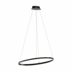 Suspension Paul Neuhaus TITUS LED Anthracite, 1 lumière