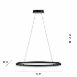 Suspension Paul Neuhaus TITUS LED Anthracite, 1 lumière