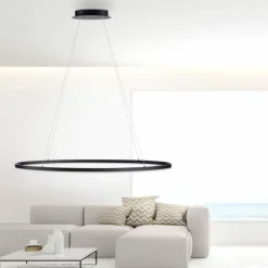 Suspension Paul Neuhaus TITUS LED Anthracite, 1 lumière