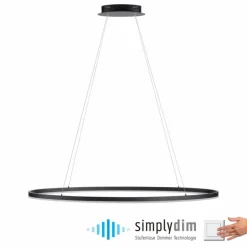 Suspension Paul Neuhaus TITUS LED Anthracite, 1 lumière