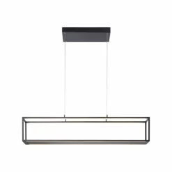 Suspension Paul-Neuhaus CONTURA LED Noir, 4 lumières