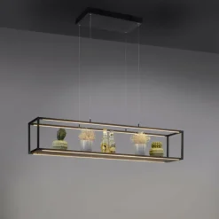 Suspension Paul-Neuhaus CONTURA LED Noir, 4 lumières