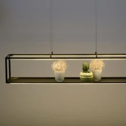 Suspension Paul-Neuhaus CONTURA LED Noir, 4 lumières