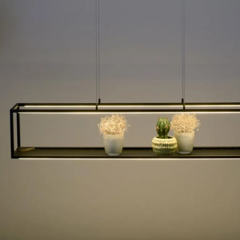 Suspension Paul-Neuhaus CONTURA LED Noir, 4 lumières