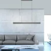 Suspension Paul-Neuhaus NANIA LED Gris, 1 lumière