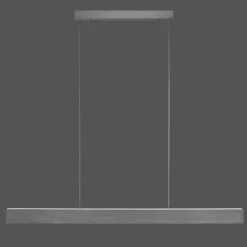 Suspension Paul-Neuhaus NANIA LED Gris, 1 lumière