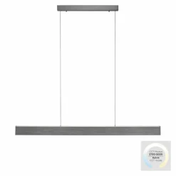 Suspension Paul-Neuhaus NANIA LED Gris, 1 lumière