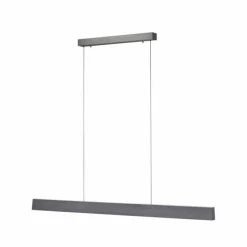 Suspension Paul-Neuhaus NANIA LED Gris, 1 lumière