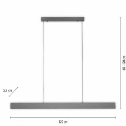 Suspension Paul-Neuhaus NANIA LED Gris, 1 lumière