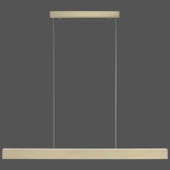 Suspension Paul-Neuhaus NANIA LED Or, 1 lumière