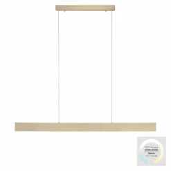 Suspension Paul-Neuhaus NANIA LED Or, 1 lumière