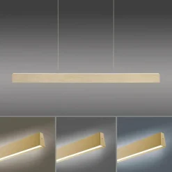 Suspension Paul-Neuhaus NANIA LED Or, 1 lumière