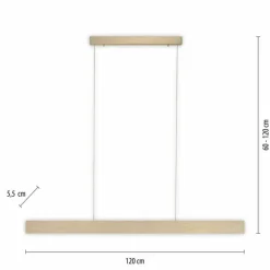 Suspension Paul-Neuhaus NANIA LED Or, 1 lumière