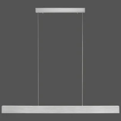 Suspension Paul-Neuhaus NANIA LED Argenté, 1 lumière