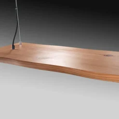 Suspension Paul-Neuhaus PALMA LED Écru, Noir, 1 lumière, Télécommandes