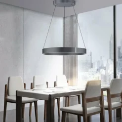 Suspension Paul-Neuhaus PURE E-CLIPSE LED Gris, 2 lumières, Télécommandes