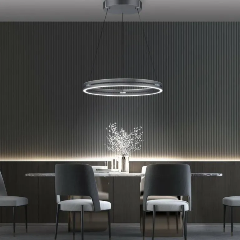 Suspension Paul-Neuhaus PURE E-LOOP LED Gris, 2 lumières, Télécommandes