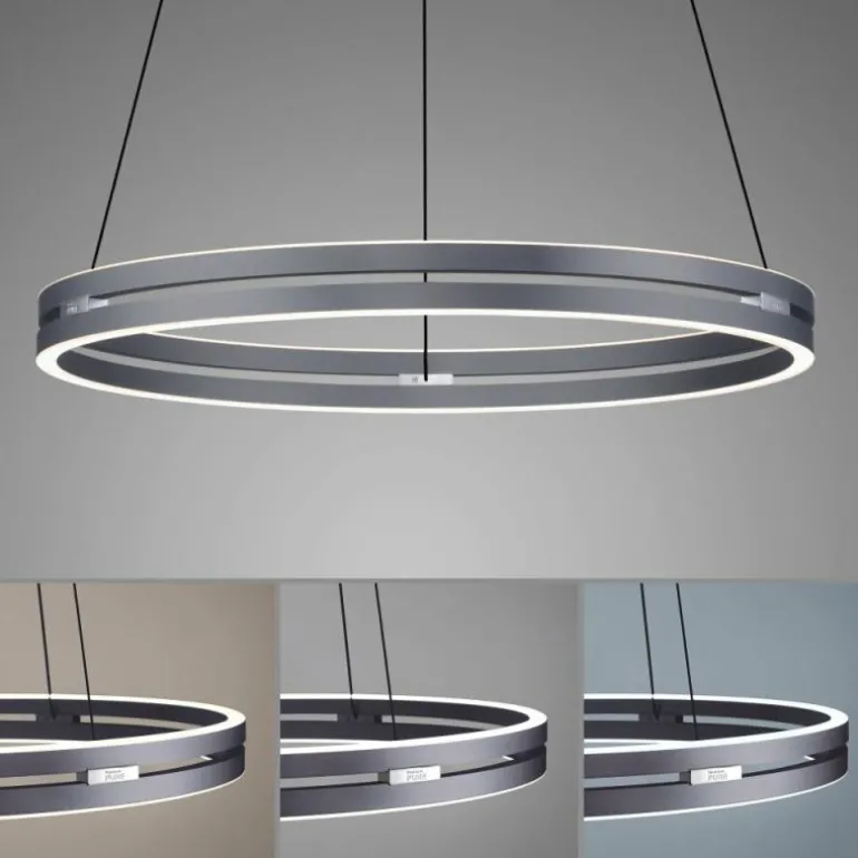 Suspension Paul-Neuhaus PURE E-LOOP LED Gris, 2 lumières, Télécommandes