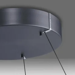 Suspension Paul-Neuhaus PURE E-LOOP LED Gris, 2 lumières, Télécommandes