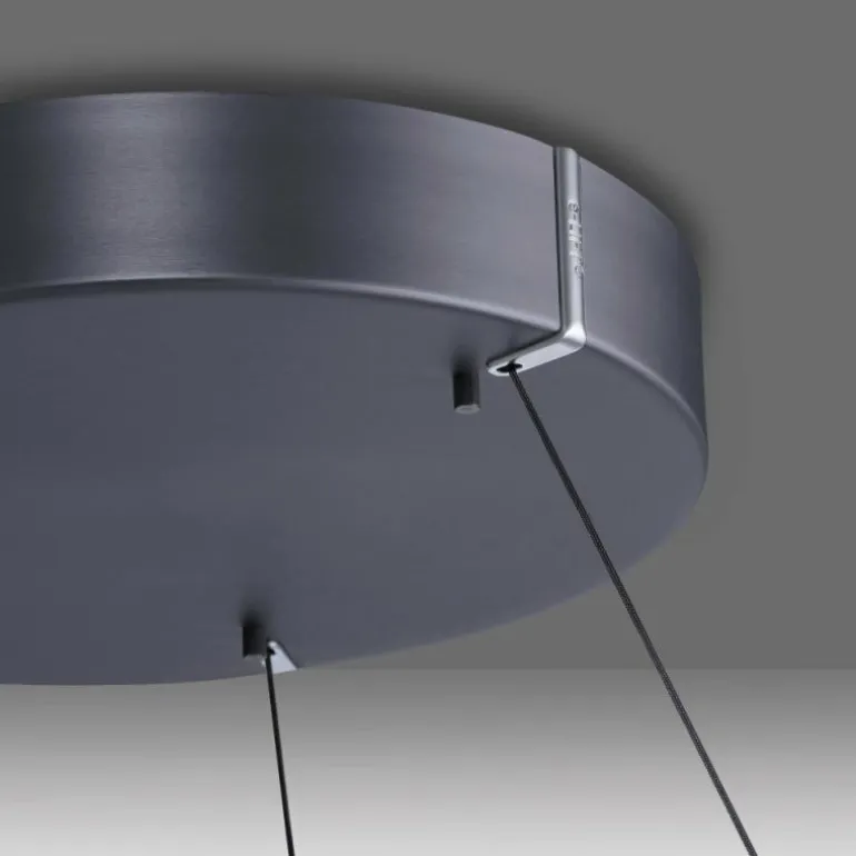 Suspension Paul-Neuhaus PURE E-LOOP LED Gris, 2 lumières, Télécommandes