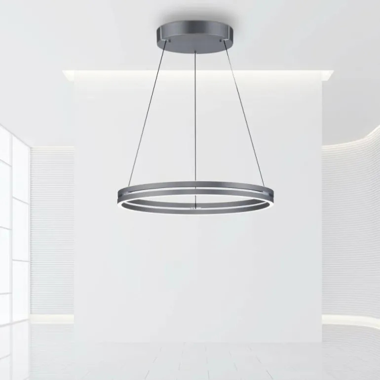 Suspension Paul-Neuhaus PURE E-LOOP LED Gris, 2 lumières, Télécommandes