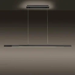 Suspension Paul-Neuhaus Q-ARIAN LED Anthracite, 4 lumières, Télécommandes