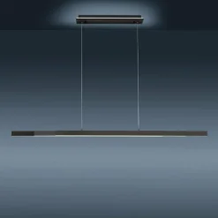 Suspension Paul-Neuhaus Q-ARIAN LED Anthracite, 4 lumières, Télécommandes