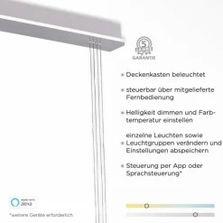 Suspension Paul-Neuhaus Q-ETIENNE LED Acier brossé, 3 lumières, Télécommandes