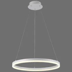 Suspension Paul-Neuhaus TITUS LED Blanc, 1 lumière