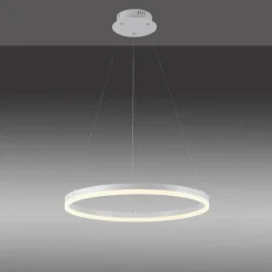Suspension Paul-Neuhaus TITUS LED Blanc, 1 lumière